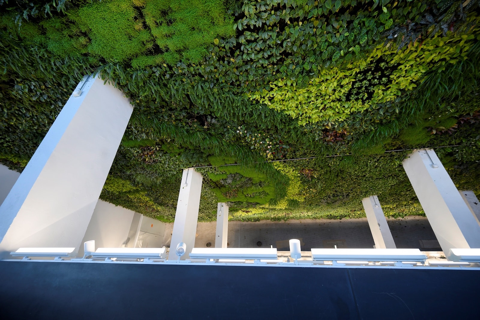Arquitectura-verde-Santander---EFE-Pedro-Puente-Hoyos.jpg