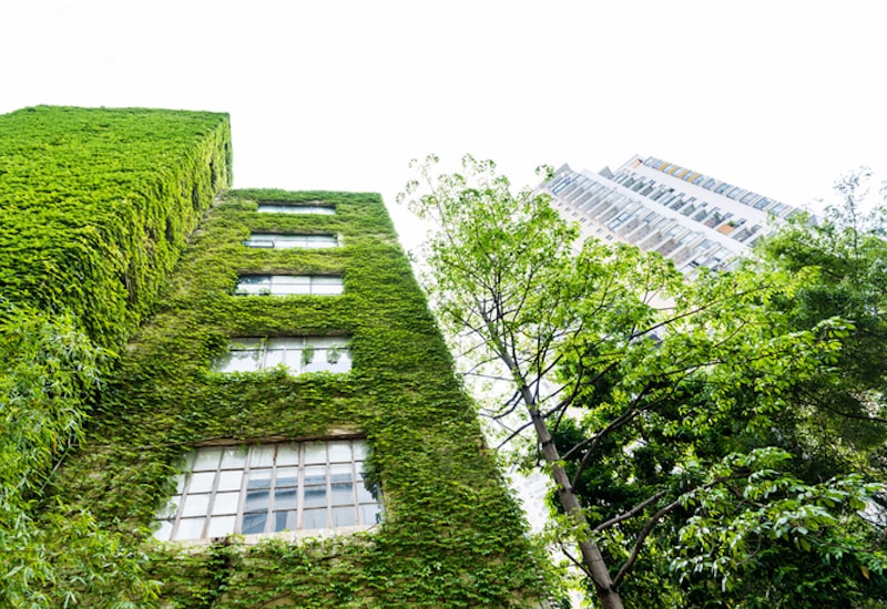 edificio cubierto de plantas