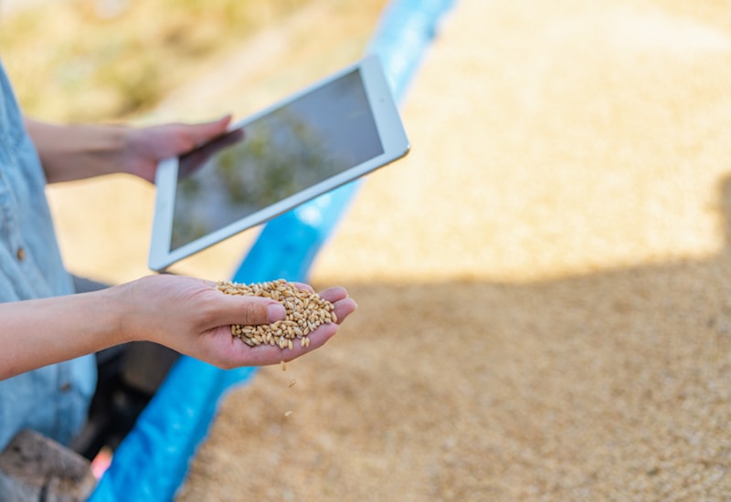 tablet y cultivo de verduras