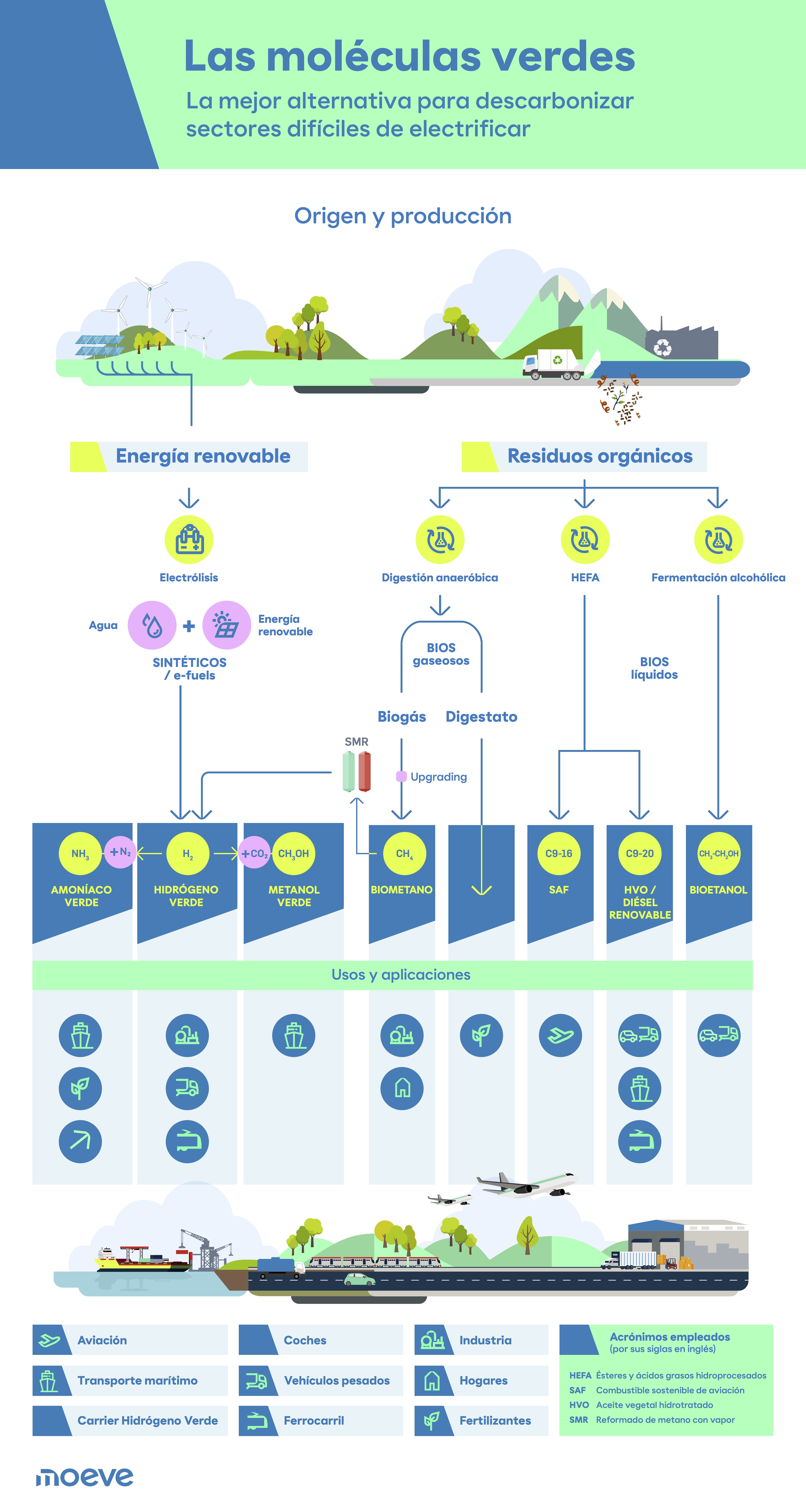 infografía moléculas verdes