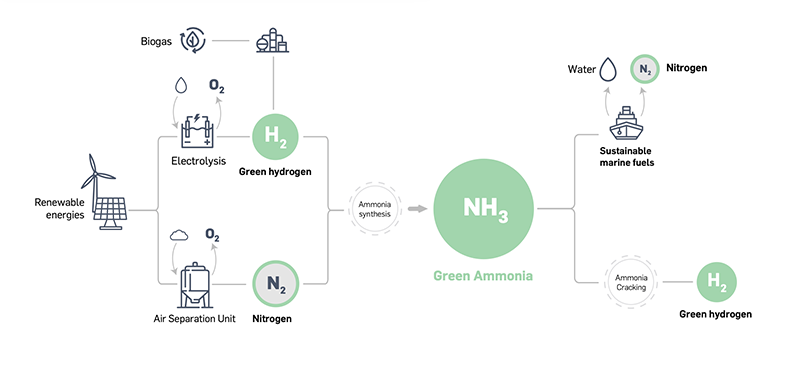 green ammonia production process