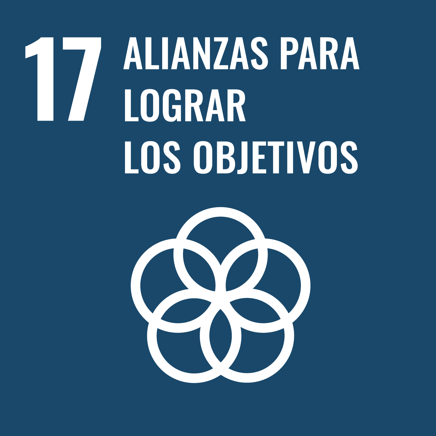 Alianzas por objetivos