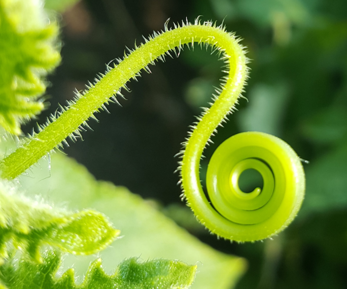 01-hero-header-economia-circular-dk.webp